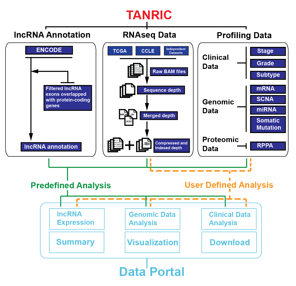 Data portal flowchart